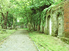 Key Hill and Warstone Lane Cemeteries Friends